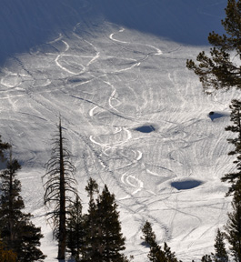 Pear Lake Tracks below the Matterhorn